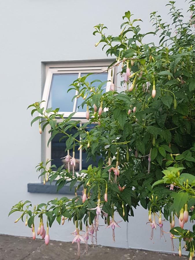 리스카노 Bay View House 빌라 외부 사진